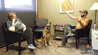 Dominance in Multi Dog Homes