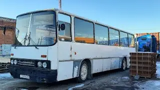 Обзор автобуса lkarus 255 в музее Екатеринбурга