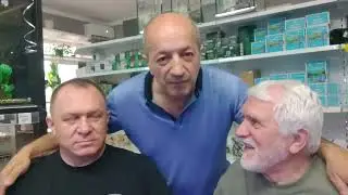 Professional opinions on aquarium fish food.