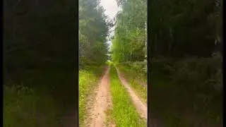 28 июня 2024 г.