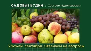 Садовые будни с Сергеем Чудопаловым. Урожай сентября. Ответы на ваши вопросы