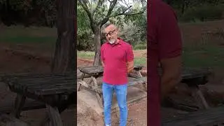 Los pinganillos del congreso