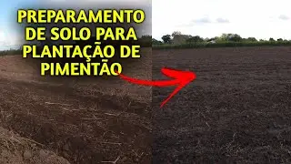 PREPARAMENTO DE SOLO PARA PLANTAÇÃO DE PIMENTÃO