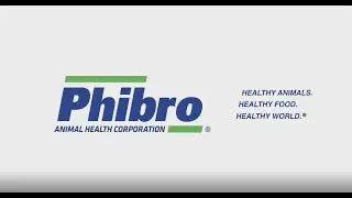 Phibro Video