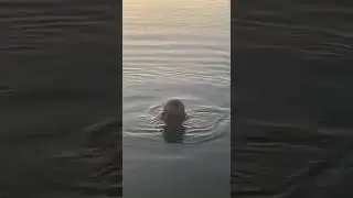 Дед булькает в воде