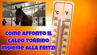 COME AFFRONTIAMO IL CALDO TORRIDO IN MANEGGIO IO E LA FRITZI