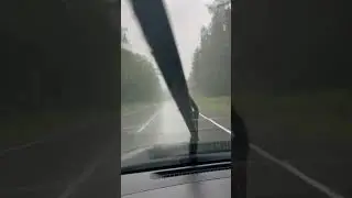 21 августа 2024 г.