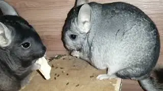 Все мои любимые со мной😍