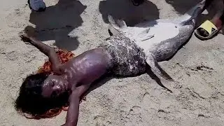 What They Found On This Beach Shocked The World