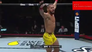 UFC Fighter One Punch KO