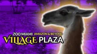 Zoo Miami Amazon & Beyond Village Plaza