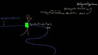 هیپرترمی بدخیم- malignant hyperthermia-پاتولوژي