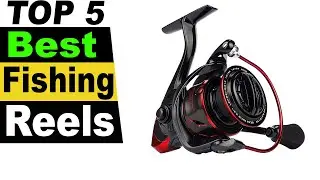 TOP 5 Best Fishing Reels On Aliexpress 2024