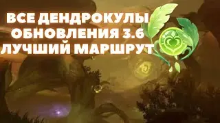 ВСЕ ДЕНДРОКУЛЫ 3.6 ✦ ВСЕ  ДЕНДРОКУЛЫ - ЛУЧШИЙ МАРШРУТ ДЕНДРОКУЛ ОБНОВЛЕНИЯ 3.6 ✦ GENSHIN IMPACT 3.6