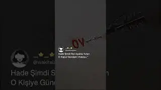 Tiktok Twitter akımı 