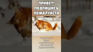 Это видео длится 1 секунду
