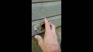 Replacing an Outside Hose Bib