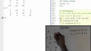 Arrays: Rehaping