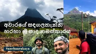 @sanchaarakaya එක්ක අවාරයේ සඳගලතැන්න හරහා ශ්‍රී පාද නමස්කාරය | Off season Sripada pilgrimage |