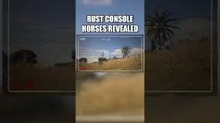 Horses coming to CONSOLE RUST FINALLY!