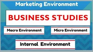 BUSINESS STUDIES : MARKET ENVIRONMENT (MACRO, MICRO AND INTERNAL ENVIRONMENT: THUNDEREDUC