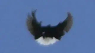 С элементом экшена.