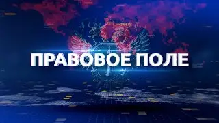 Правовое поле. Выпуск 13.06.2023