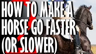 Exercises to Slow Down Your Horse - or Speed It Up (Speed Control Part 2 of 2)