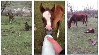 Мы с малышами на зеленой траве.