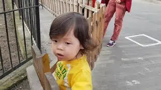 #Арни и олени🦌