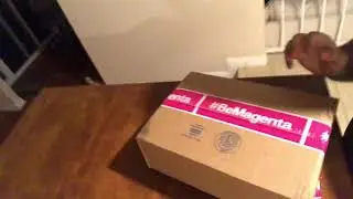 T-Mobile Side Kicks unboxing!
