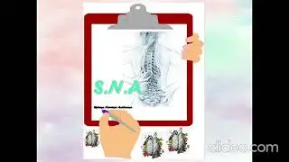 Idea para hacer un portafolio en Anatomia