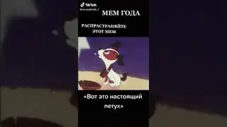 MEM 2021 