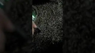 Обзор Альфы Элемент 49.9куб.см.