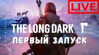 🔴🧔 Прохождение The Long Dark: ПЕРВЫЙ ЗАПУСК
