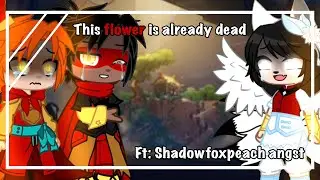 This flower is already dead || LEGO Monkie Kid || Dead Li Mei Au || Ft: Shadowfoxpeach angst