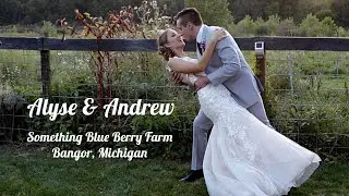 Alyse & Andrew! Something Blue Berry Wedding Barn, Bangor, MI