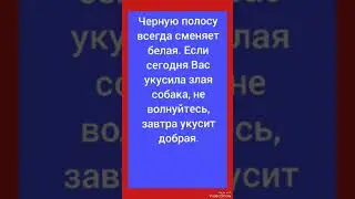 #shorts #анекдоты #юмор