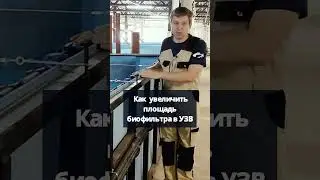 Как увеличить площадь биофильтра в УЗВ #система #узв #рыба #акварост