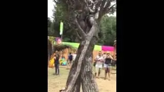 Tree Human