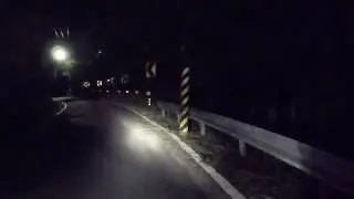 Snake on the Road