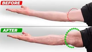Best Home Workout For Your ARMS