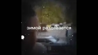 Летом одевается , зимой раздевается