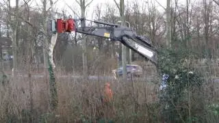 De boomwal langs de Rondweg te Lemmer wordt gerooid. 27-12-2016