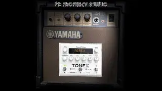 Yamaha GA-10 for Tonex #ikmultimedia #tonex #yamaha