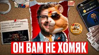 Кто стоит за проектом Hamster Combat? Листинг который разочаровал всех.