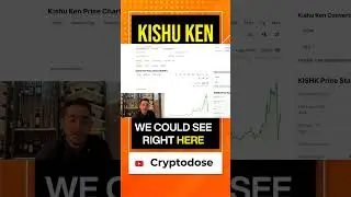 Kishu Ken Will 1000x in 2024! Next Bonk!?? 😱