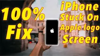 Fix: iPhone is Stuck on Apple Logo Screen