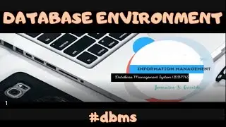 Why You Should NEVER use a Database Environment