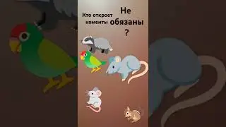 тутор? 